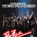 풀루스 Daum카페