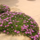 나그네길 이미지