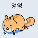 (주)비제이 | AICPA 졸업 기념, 1년반 수험생활 기록(+비용 기록)