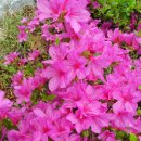 대구교육정보원 이미지