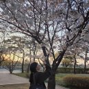 서요한 | 4월, 가장 예쁜 계절의 한가운데