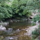 뚝지펜션 이미지