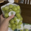 케이팜스타 이미지