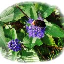 남산추어탕 이미지