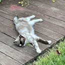 게스트하우스 나비야 이미지