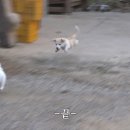 만나 이미지