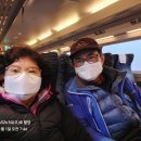 회동보건진료소 | 진도 해안길 4. (고군면 회동항-솔비치입구-의신면 금갑리 접도연육교).