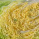 나래농장 | 유기농 절임배추 20kg 농장 직배송 천일염 김장 대용량