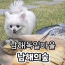 남해-152 | 남해여행 독일마을 애견동반카페 남해의숲