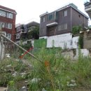 서구168 네이버블로그