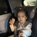 두두어린이집 | [미니두두] 25FW 두두 스카프 VER.3 카라멜팝 후기/25개월 아기 터널형 스카프 추천