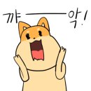 달콤하개 이미지