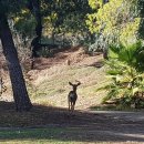(주)스토리빌 이미지