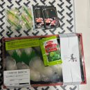 [서울_신세계강남] 신세계마켓 맛집추천: 키쿠카와, 스시도쿠 + 고래사어묵