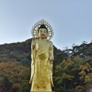 속리산 법주사 이미지