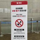 수송반려동물병원 | 2025 케이펫페어 서울 후기 및 내돈내산 용품 소개