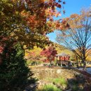 구천동송어마을 이미지