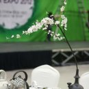 세계의 차문화 이미지