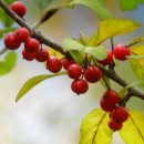 구월1동-39 이미지