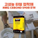 씨 에스 아이