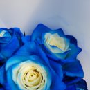 예송 농장 이미지