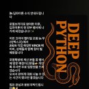 딥파이톤