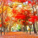 유명한캠핑장 이미지