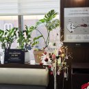 부전백세약국 이미지