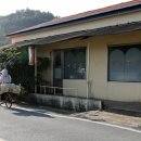 월부리 Daum카페