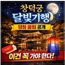 달빛관광 코스 | 2026 창덕궁 달빛기행 예매 방법 꿀팁 일정 포토존까지 총정리