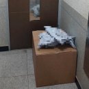 (주)한진(서부산센터) | 한진택배 수거 예약했는데 일주일째 안 옴 / 한진택배 고객센터 전화번호 연결 꿀팁 운영시간