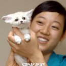 여우 이미지