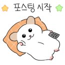 한백이길 이미지