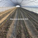 오가네 하우스 이미지