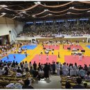 도마효태권도장 이미지