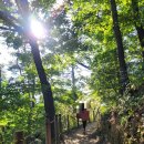 오봉산여가녹지 이미지