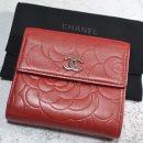 새명품세탁 이미지