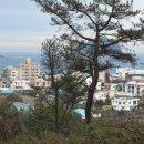 중문선궷내 입구 이미지