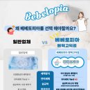 평택카시트세탁 베베토피아 다이치 카시트 세탁 후기