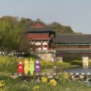 우아식당 | 봄날의 곰을 좋아하세요?