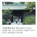 복희네 이미지