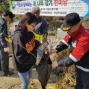 단양국유림관리소 이미지