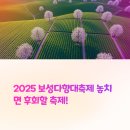 보성농업협동조합 | 2025 보성 다향대축제 일정 및 가수 라인업 총정리