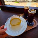 수송동 행복센터 | 군산 수송동 카페 몽슈슈 재방문 - 몬테카를로 이어 도지마롤 가격 맛 후기 (보냉백 꿀팁)