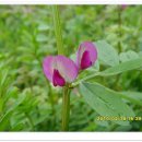 남해향촌 이미지