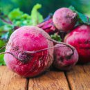 제이앤팜 이미지