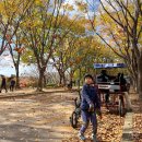 79푸드 | 인천대공원 단풍 실시간 자전거 푸드코트 정보