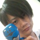 바바나무 이미지