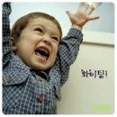 에브리 굿모닝