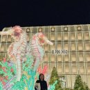 오향골송어 | 2024年 11月 記錄_가을인가 겨울인가 그것은 가울❤️‍🔥